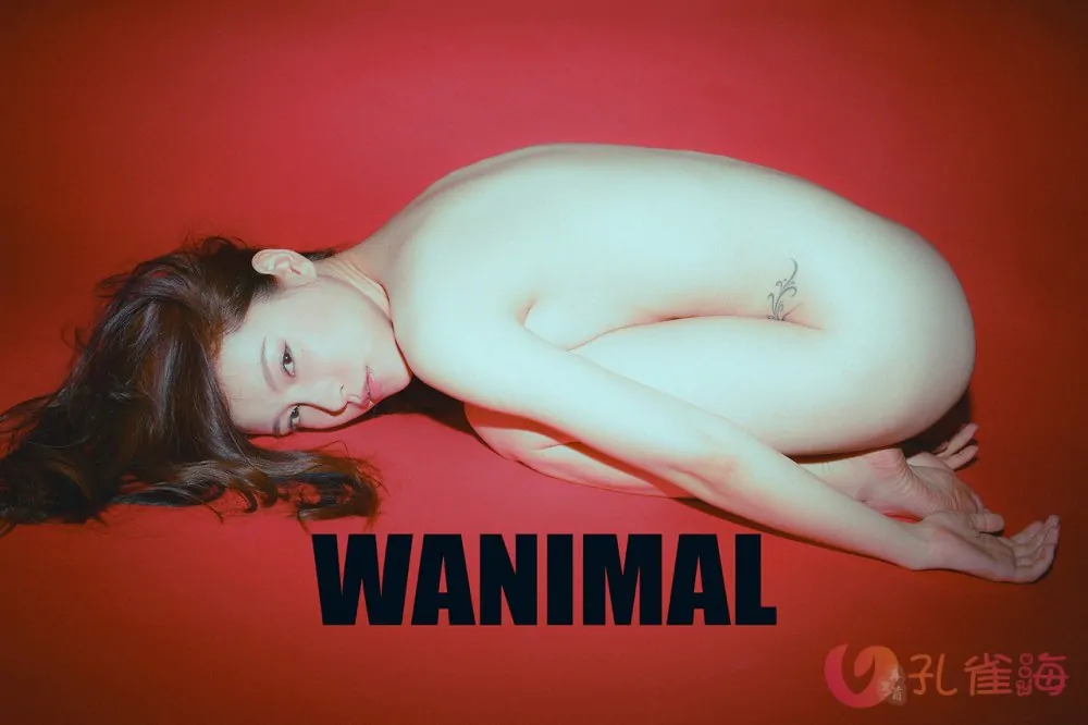 [合集]珍藏写真《WANIMAL王动》系列全套包含高清视频和套图，大小75.2G 679-享悦云图 | 映画收藏家